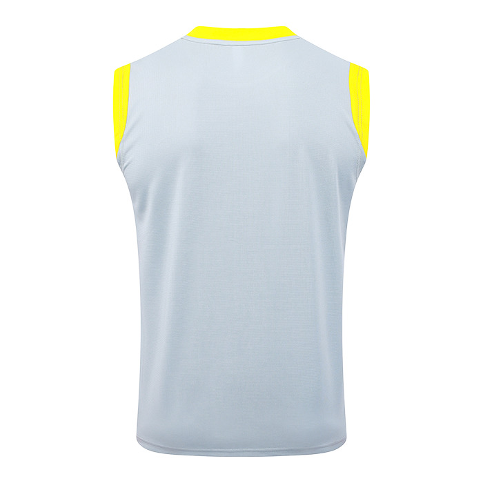 Camiseta de Entrenamiento Borussia Dortmund Sin Mangas 25-26 Gris